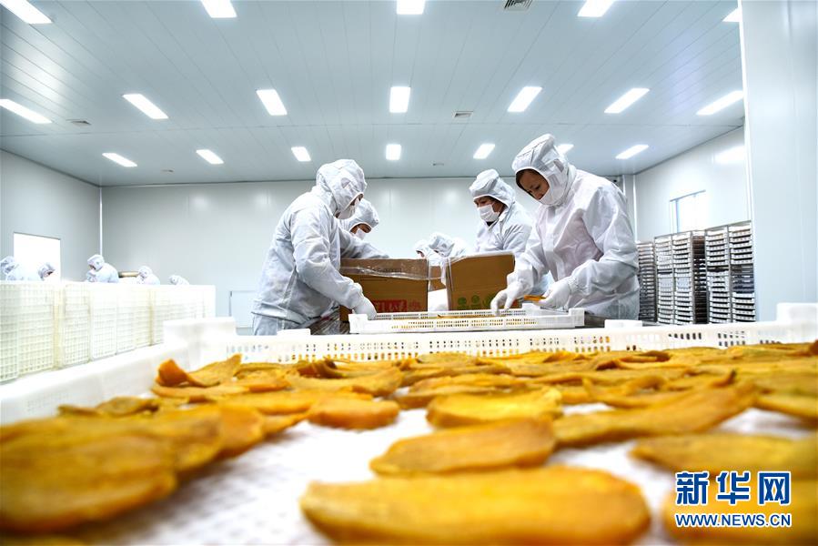 赛博朋克2077NCPD防弹背心怎么得
